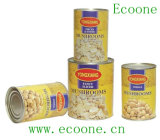 2012 Crop Canned Mushroom