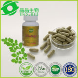 Moringa Oleifera Extract Capsule Herbal Medicine for Diabetes