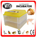 Automatic Egg Incubator Temperature Controller Emu Egg Incubator Thermostat Hatching Eggs for Sale