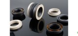 PTFE Spring Energized Seal for -196 Working Condition (metric size)