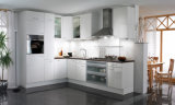 Modern Lacquer Kitchen Furniture (BR-L004)
