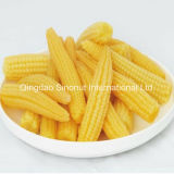 Canned Baby Corn (L size, M Size)