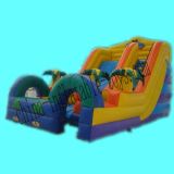 Outdoor Durable Inflatable Slide (SL-067)