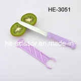 Plastic Handle Fruit Knife (HE-3051)