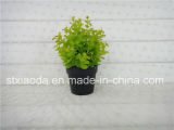 Artificial Plastic Potted Flower (XD14-34H)
