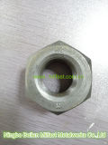 Heavy Hex Nut (ASTM A194 2H)