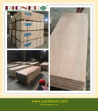 Door Size Plywood for Middle East Market
