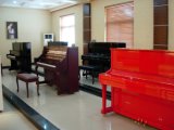 Best Selling Factory Direct Supplier! ! Difference Models of Upright Pianos, Customized Color