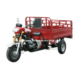New Design Tricycle with 150cc (TR-1)