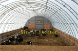 Livestock Shelters, Cow Shed, Cow Horse Shelter Tent (XL-306515R)
