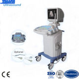 Trolley Digital Ultrasound Scanner Medical Equipment