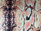Snake Fabric for Lady's Wallet and Handbag
