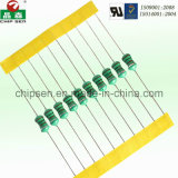 Safety Color Leaded Inductor (0204 0307 0410 0510)
