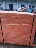 Hot Selling Thailand Market Plywood, Commercial Plywood