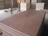 Best Selling Quality of Bintangor Plywood