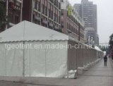 Holiday Party Tent (TGEO1328)