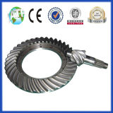 Crown Wheel and Pinion Gear Used in Auto