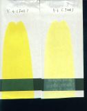 Pigment Yellow (P. Y. 13)