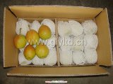Chinese Fresh Fragrant Pear for Sale
