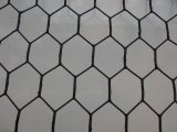 PVC Coated Chicken Wire Netting (LY-S38)