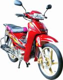 Motorcycle (SL110-6)