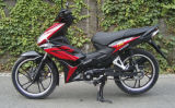 Cub/Motorcycle/Motobike (SP125-32N)