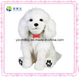 So Cute White Dog Stuffed Toy