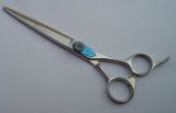 Cutting Scissors (CA48-65)