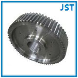 Supply Large Spur Machinery Gear