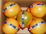 Pomelo/Fresh Chinese Fruits of Good Quality