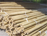 Natural Dry Bamboo Sticks