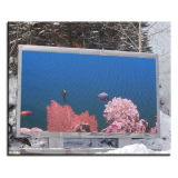 Pixel Pitch 10mm Outdoor LED Display