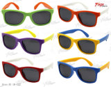 Cm6053 New Fashion Sunglassses Eyewear