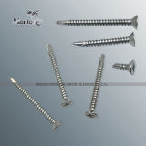 DIN7504 St2.9-St6.3 Csk Head Self Drilling Stainless Steel Fastener (SS017-2)