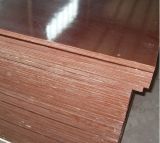 1250X2500mm Wolead Factory WBP Glue Film Faced Plywood (w16020)