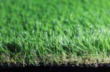 Synthetic Grass for Garden (E635216GDQ12041)
