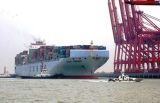 Cargo Consolidation to Venezuela / Shipping / Air Shipping / Ocean Shipping / Cargo