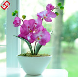 Artificial Silk DIY Bonsai Butterfly Orchid Flower Arrangement