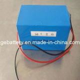 Li-ion Battery Pack 24V8Ah