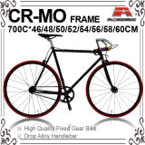 700c Paint Decal Cr-Mo Fixed Gear Bicycle (KB-700C23)