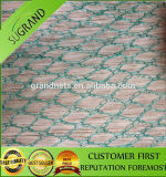 Hot Sell Knitted Anti Bird Netting/Fruit Net /Plastic Netting