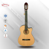 [Aileen] New Student Classical Guitar (AC209CE)