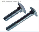 DIN 603 Ss304/316 Carriage Bolts