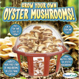 Dunecraft Grow Your Own Oyster Mushroom