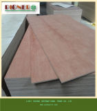 18mm Pencil Cedar Plywood for Middle East Market