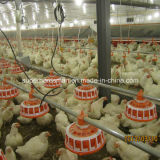 Automatic Poultry Farm Equipment for Breeder House