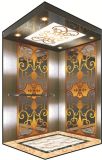 Finest Luxury Passenger Elevator (YD-H02T)