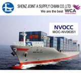 International Freight Forwarder China to USA Sea Freight Rates