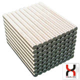 Cylinder Neo Rare Earth Sintered Magnet