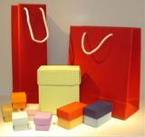 Paper Gift and Shopping Box and Bag for Different Size to Choose
